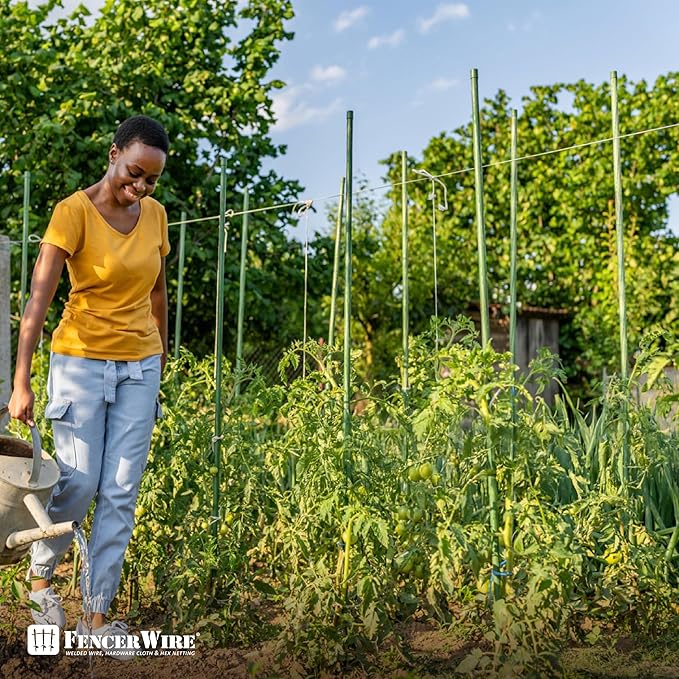 CAPHAUS Durable Metal Plant Stakes, Garden Poles for Tomatoes, Cucumbers, Beans, Potted Plant Support Garden Stakes, Garden Poles for Outdoor and Indoor Plant Gardening, 25 Pack of 6ft / 72 Inch