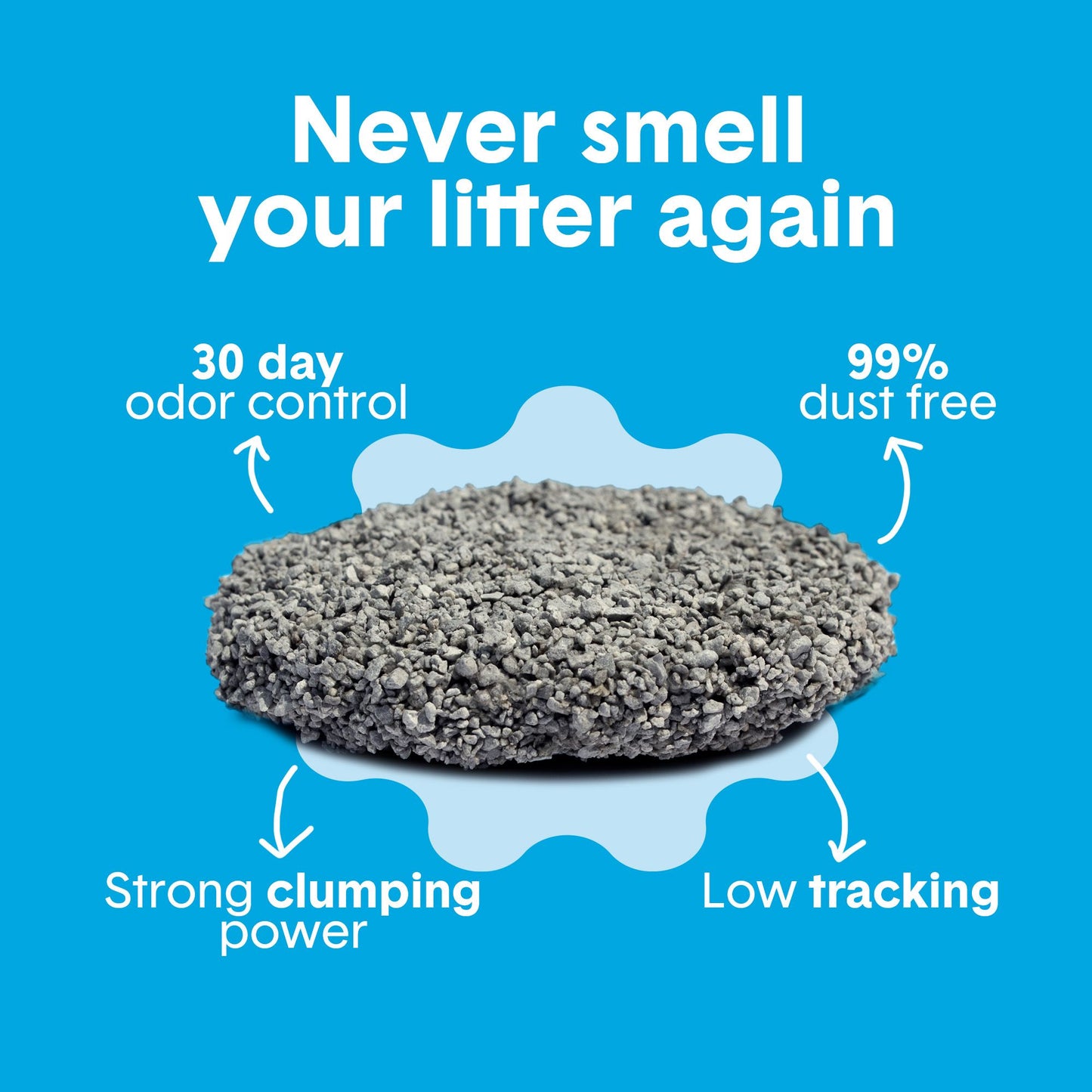 Boxie Unscented 30 Day Odor Control Clumping Clay Cat & Kitty Litter 40lb