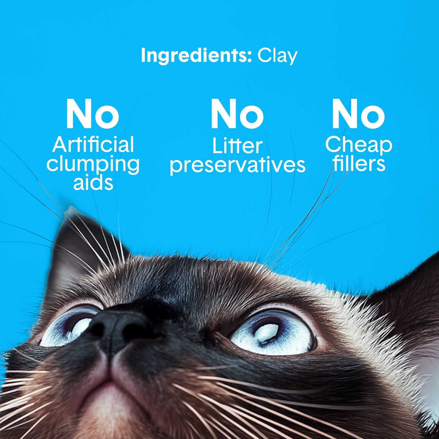 Boxie Unscented 30 Day Odor Control Clumping Clay Cat & Kitty Litter 40lb
