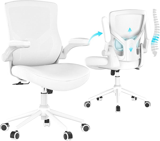 Office Chair, High Back Desk Chair Adjustable Height and Ergonomic Design Home Office Computer Chair Executive Lumbar Support Padded Flip-up Armrest Swivel Task Chair