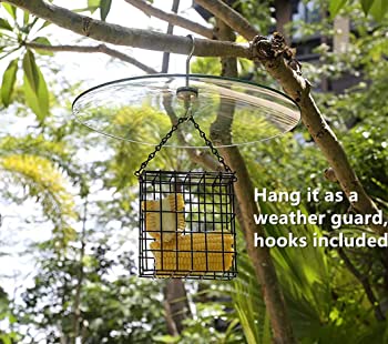 13 1/2 Inch Clear Glass Two-Way Squirrel Baffle and Weather Guard for Bird Feeder Hanging or Pole Mount