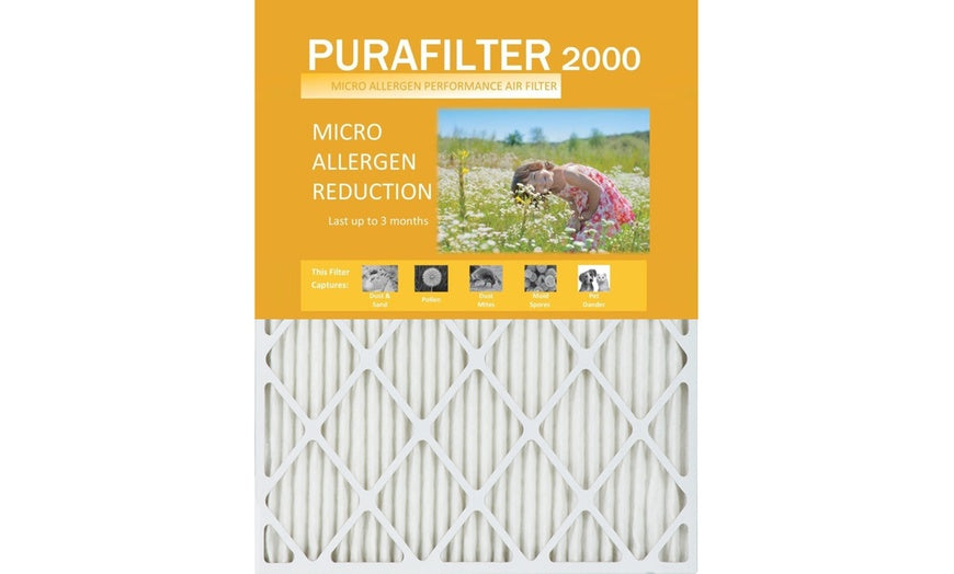 Purafilter Gold High-Efficiency Air Filters (4-Pack) 12X20X1