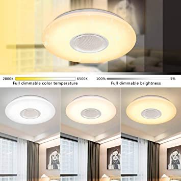 Upgraded LED Music Ceiling Light