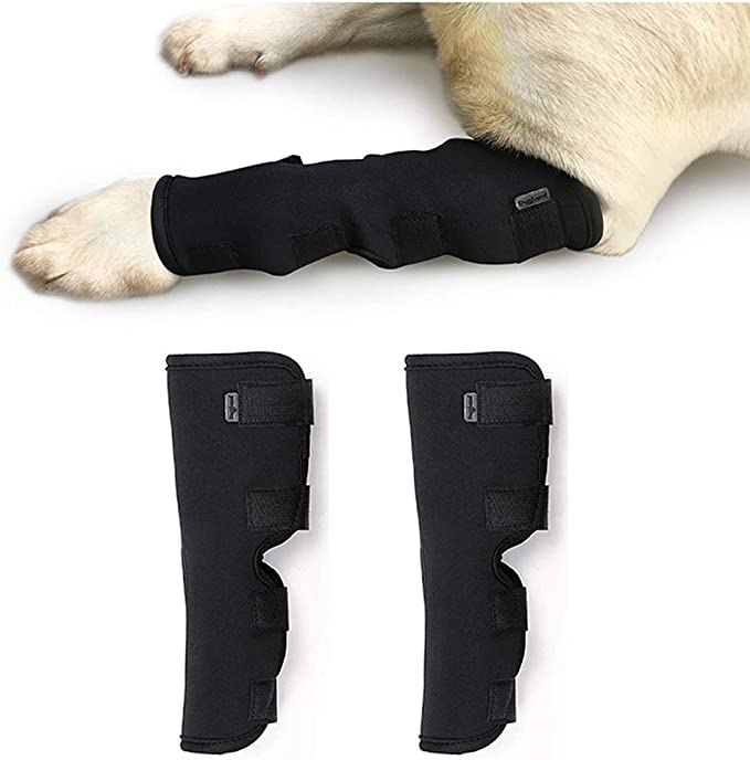 Rantow Long-Legs Dog  Arthritis Heals Protector